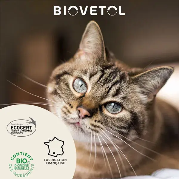 Biovetol - Lotion Destruct’Urine Chat Bio - 240ml