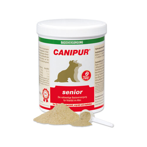 Canipur Senior