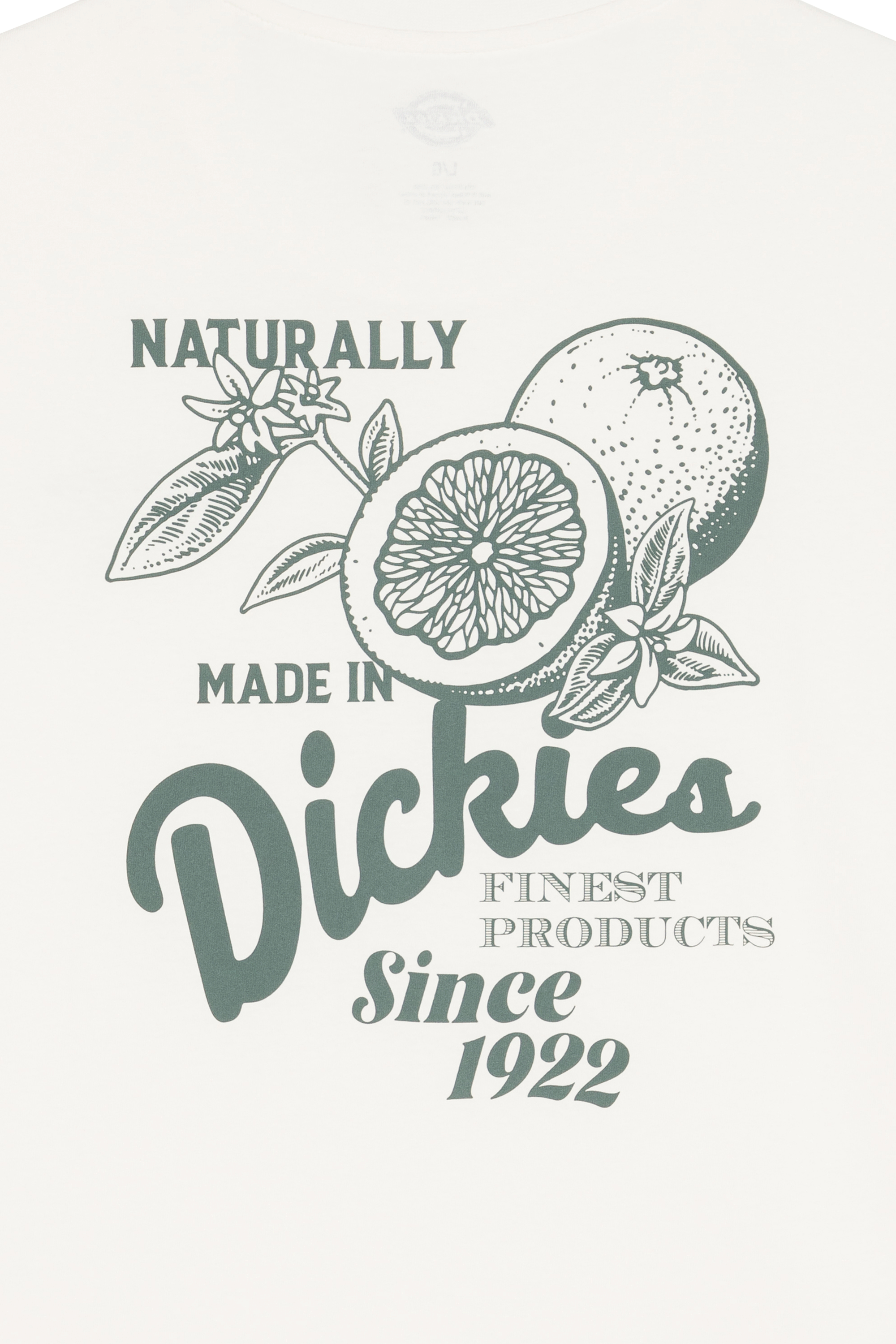 DICKIES T-shirt RAVEN TEE SS Beige