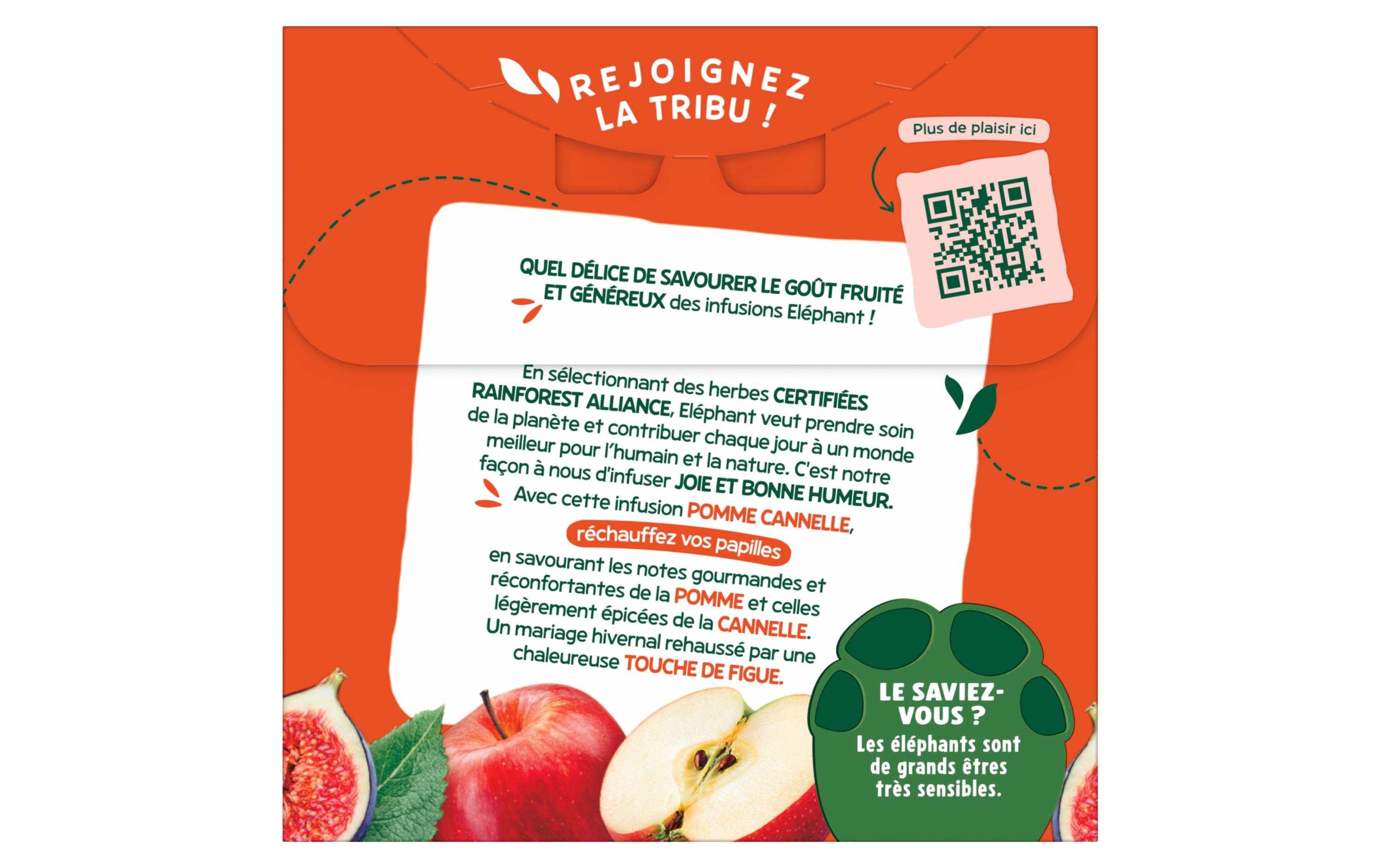 Teebeutel Infusion Pomme Cannelle 20 StückTee mit Apfel und Zimt