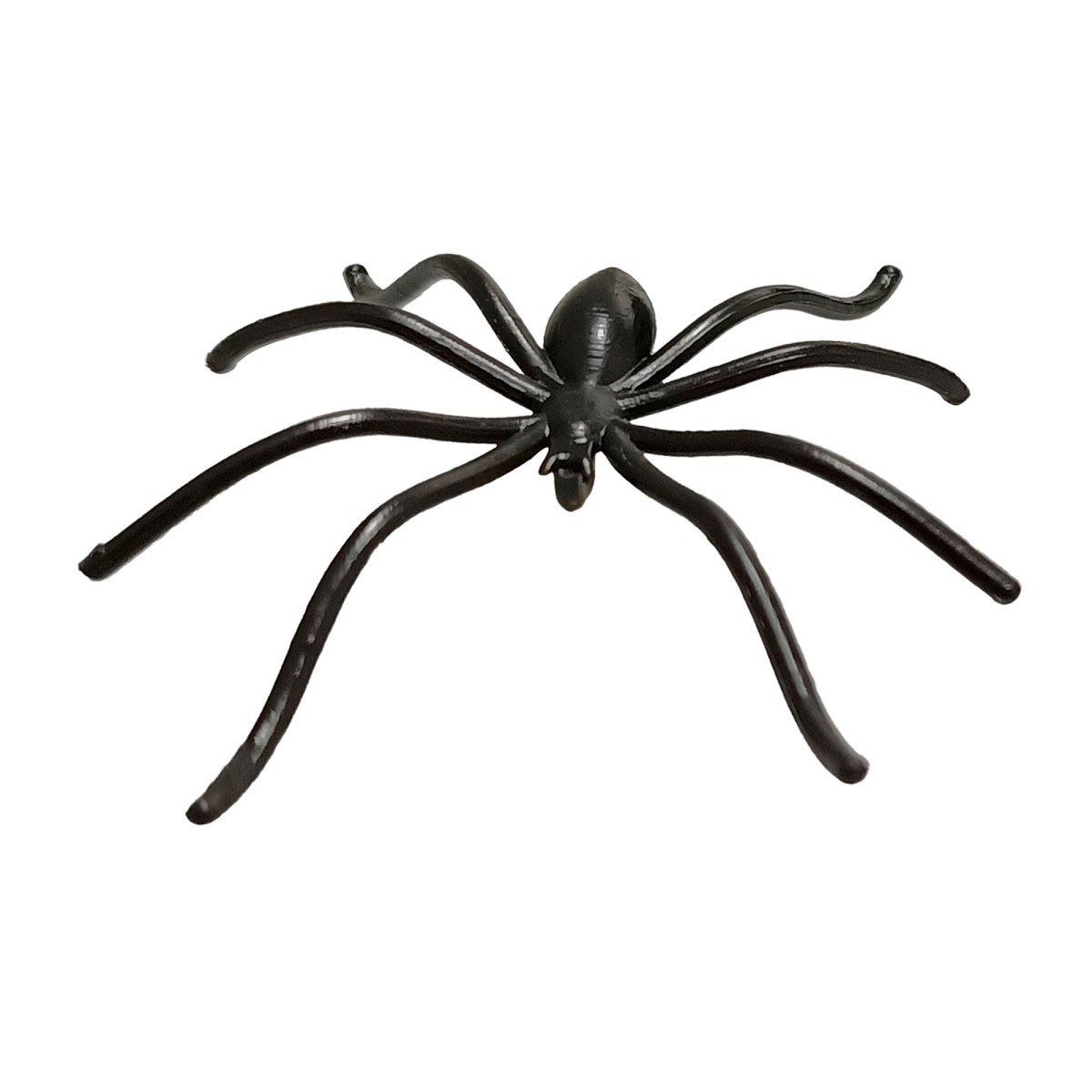 Halloween Nep Spin Zwart 50st