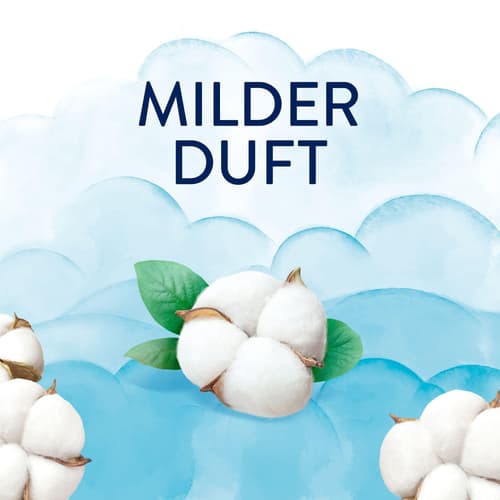 Lenor Weichspüler, Frische Baumwollblüte