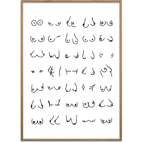Boobies nr. 3 - 30x40 cm