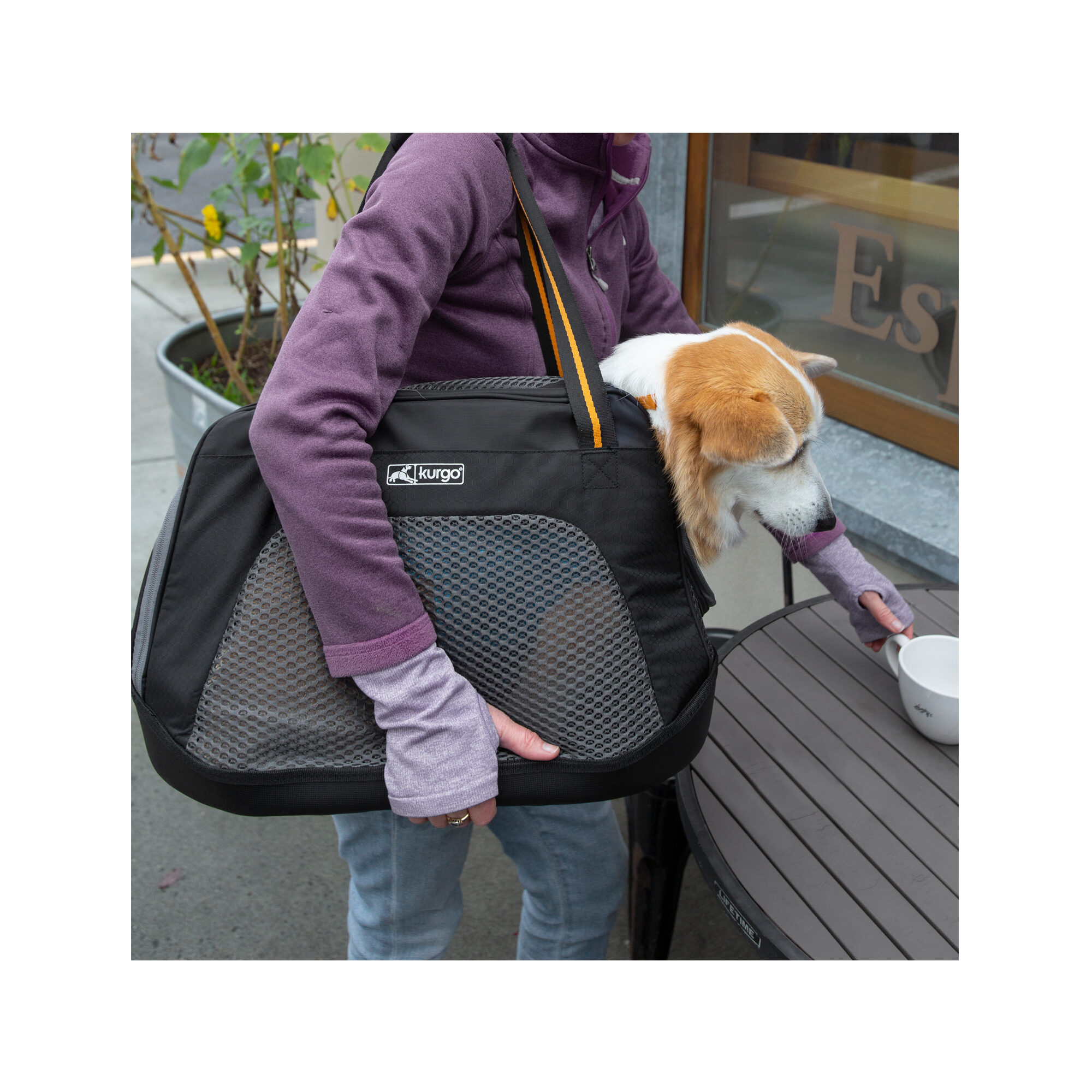 Kurgo Explorer Carrier Large Reismand voor Honden