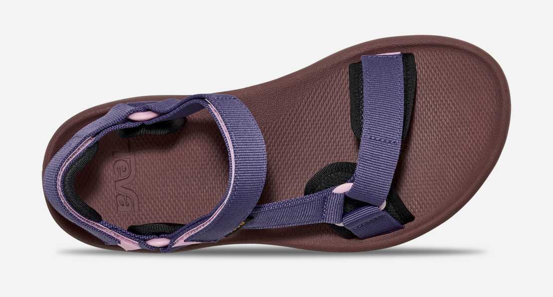 Dames Hydratrek Water Sandal