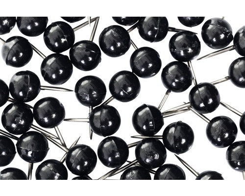 Zwarte punaises, set van 50