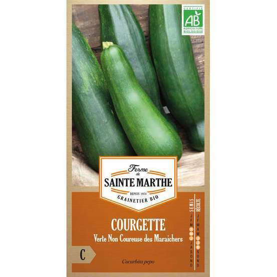 Graines de courgette verte non coureuse Bio en sachet