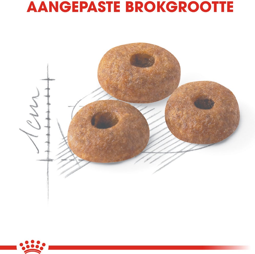 Royal Canin kattenvoer Fit 32 4 kg