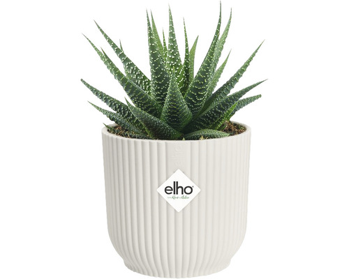 elho Vibes fold ronde mini plantenbak, kunststof, Ø 11,1 cm, H 10,5 cm, wit