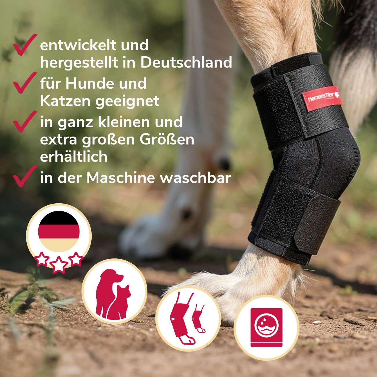 HerzensTier Sprunggelenkbandage Neopren XS