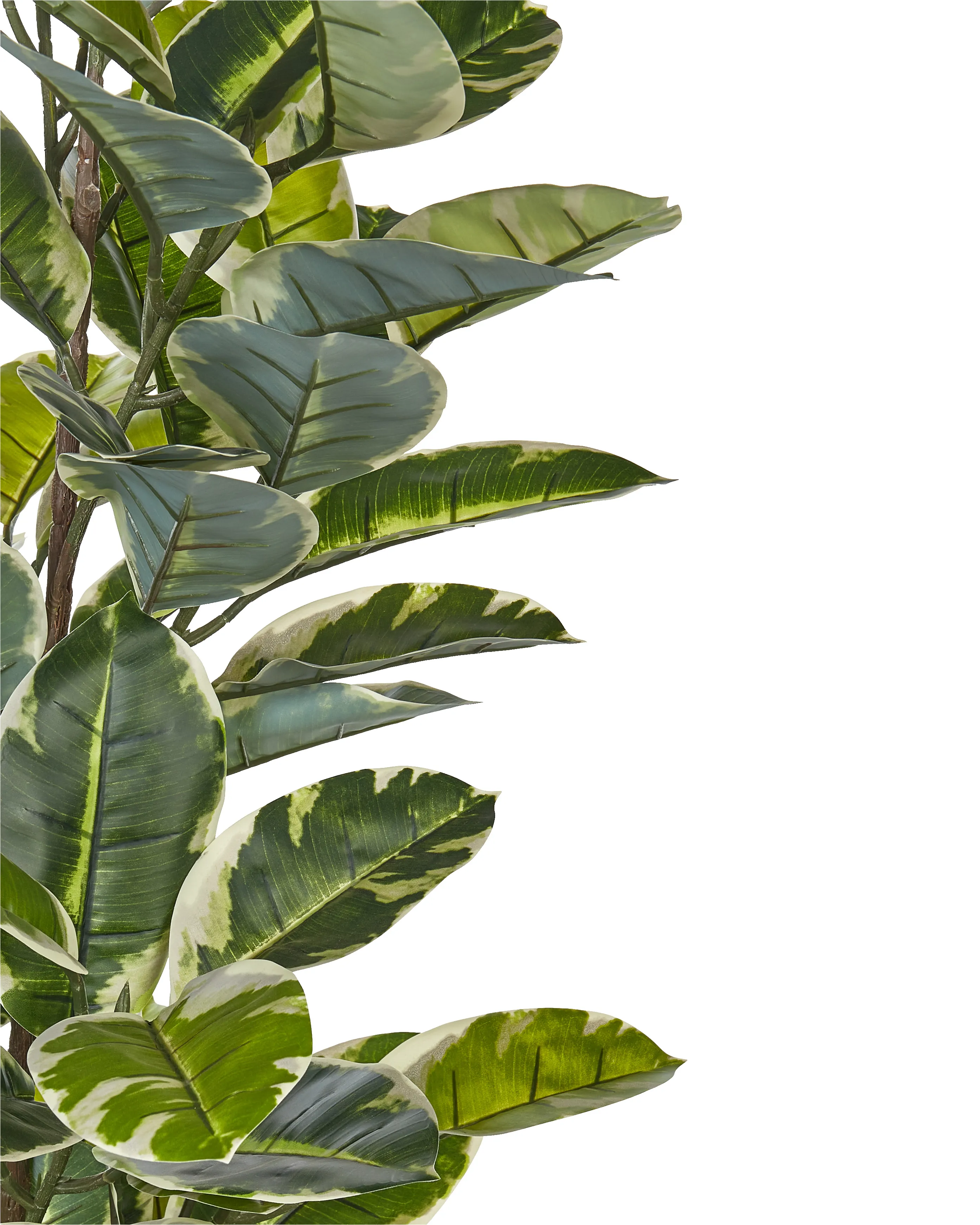 Kunstplant FICUS ELASTICA 160 cm Groen