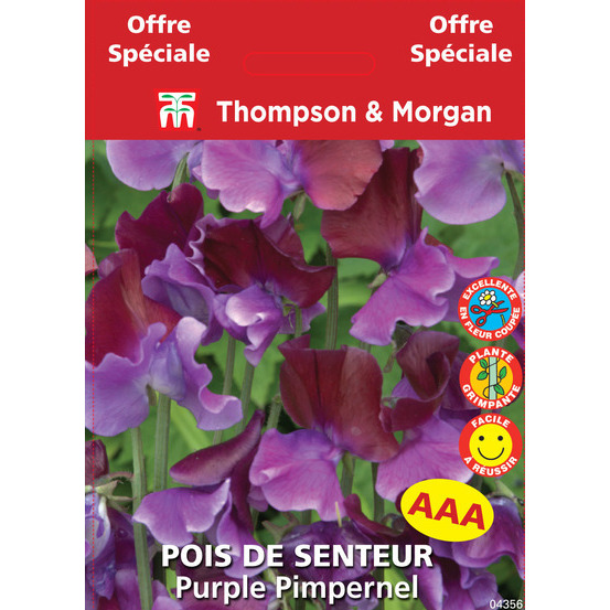 sachet de semence