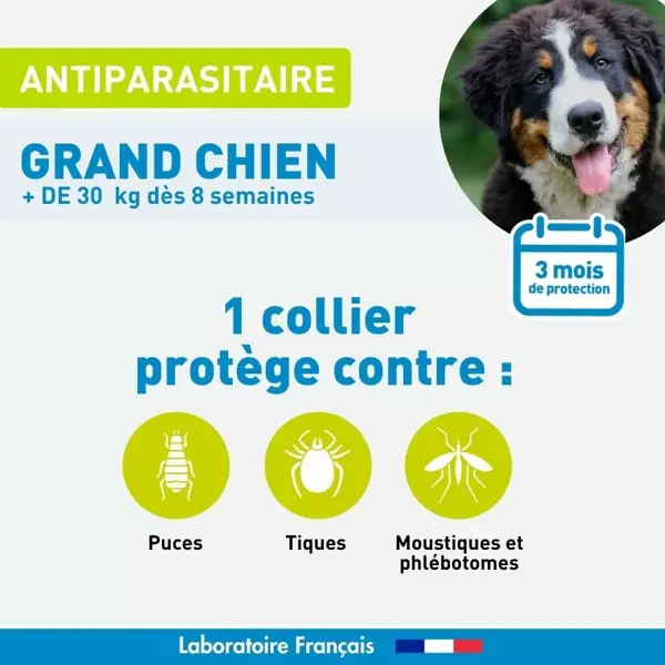 Coleira antiparasitária Vetoform para cães acima de 25 kg, 65 cm