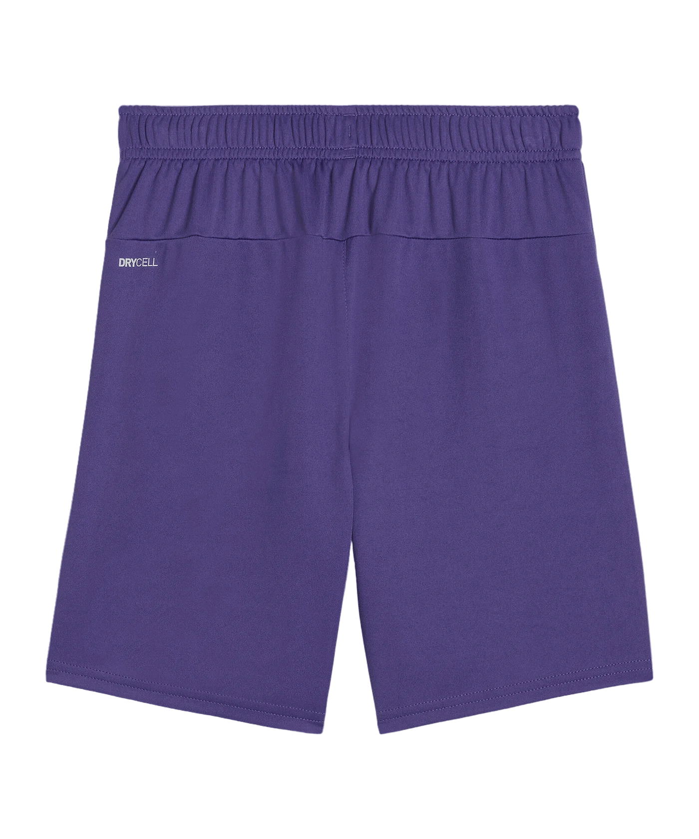 PUMA teamGOAL Short Kids Lila Weiss F10