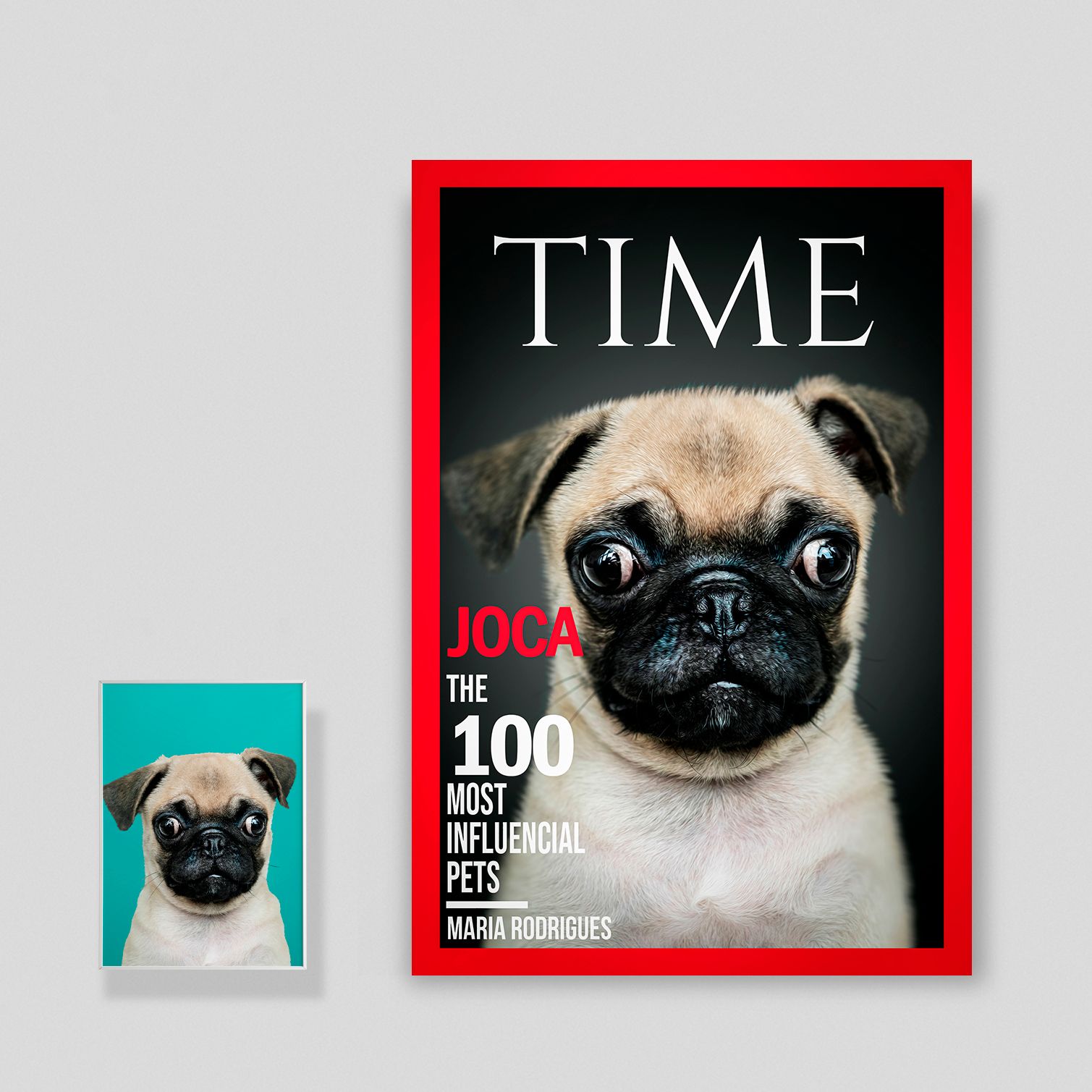 Pôster personalizado com retrato de animal de estimação da Pet Story para a capa da revista Time.