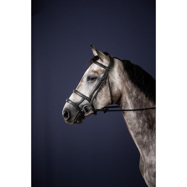 Hoofdstel New English Collection by Dy'on Double Zwart