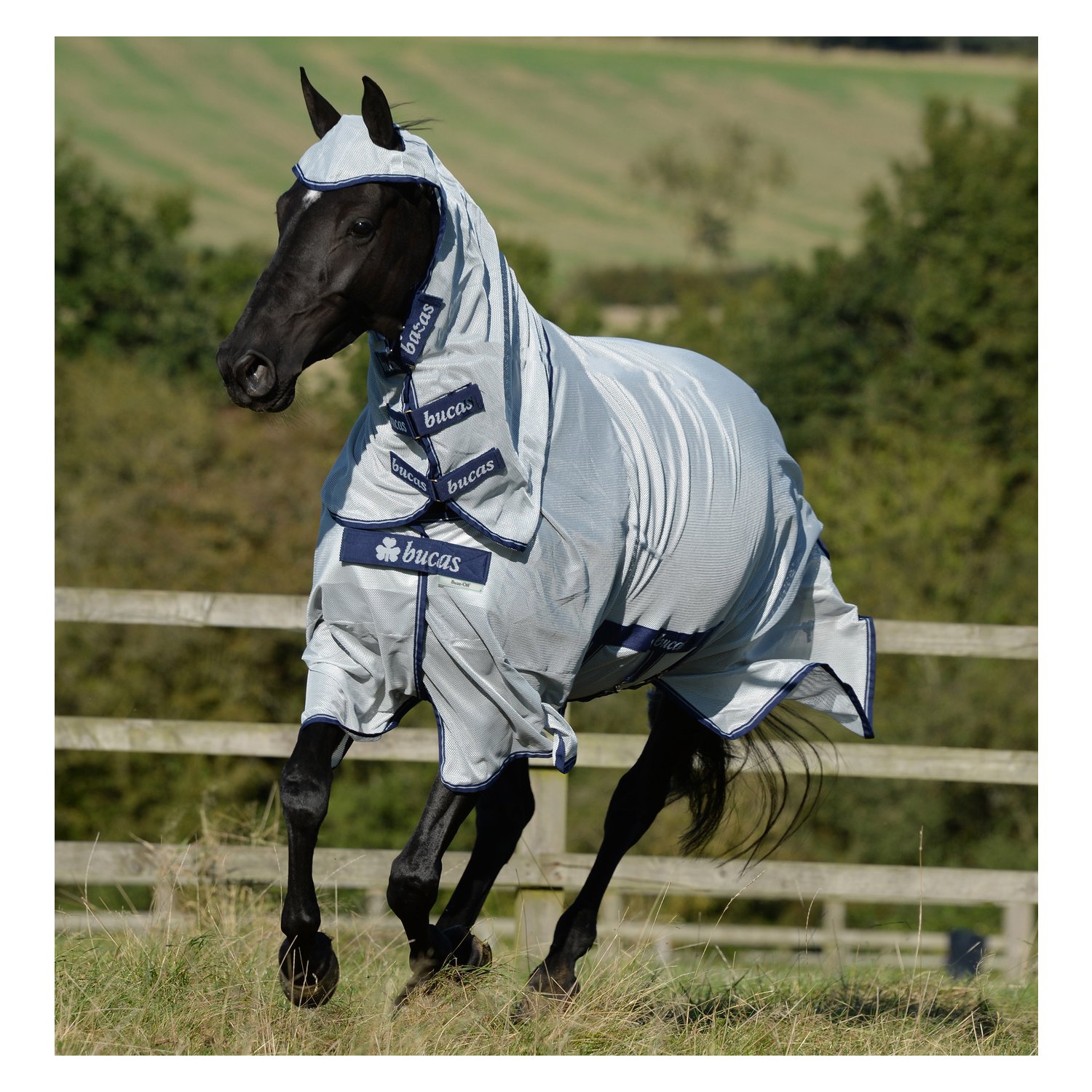bucas Fliegendecke Buzz-off X  - silver/blue