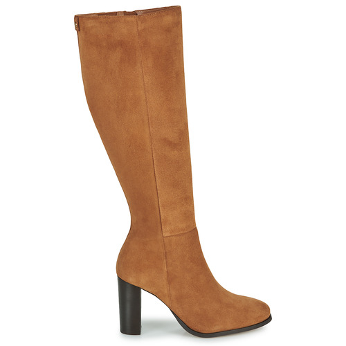 Fericelli - AMSONIA - Camel