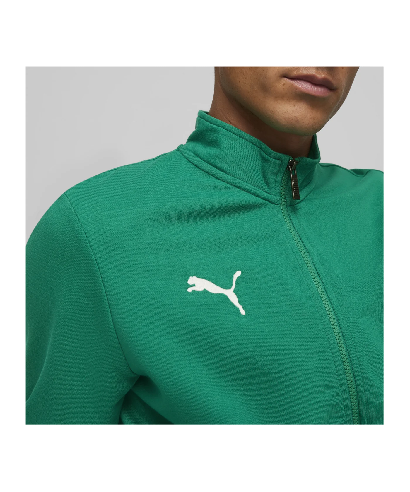 PUMA teamGOAL Casual Trainingsjacke Grün Weiss F05