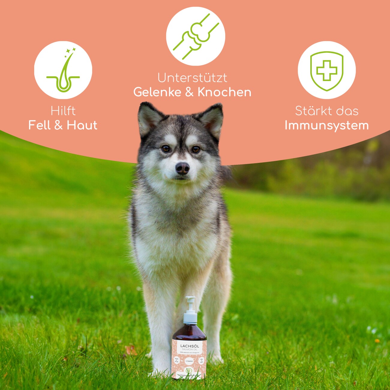 Wolfsbacher Natur Futteröl Set 4 x 500ml