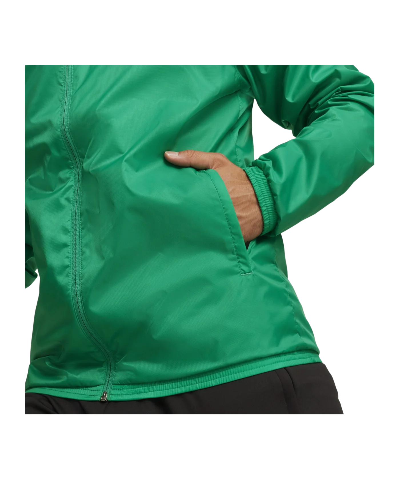 PUMA teamGOAL Allwetterjacke Grün Weiss F05