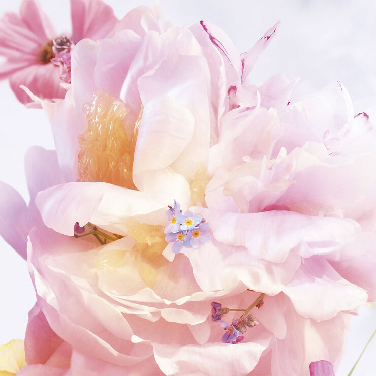 DIOR Miss Dior Blooming Bouquet Eau de Toilette