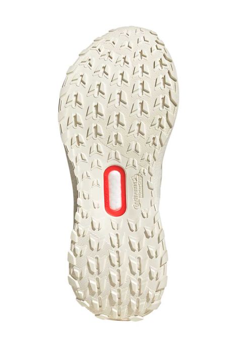 Ultraboost 5 GTX Women