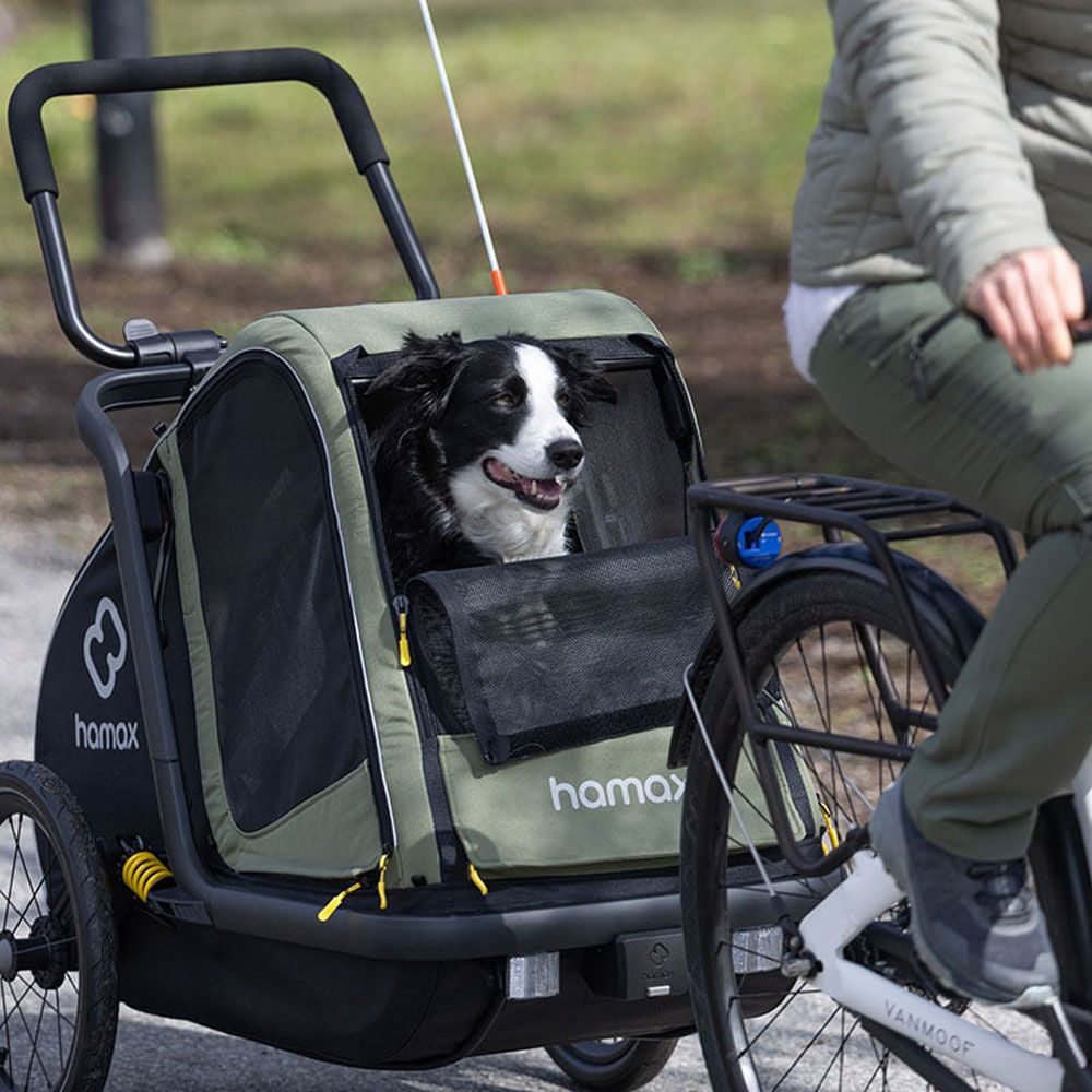 Hamax Pluto M - Hundeanhänger kaufen | Bike-Discount