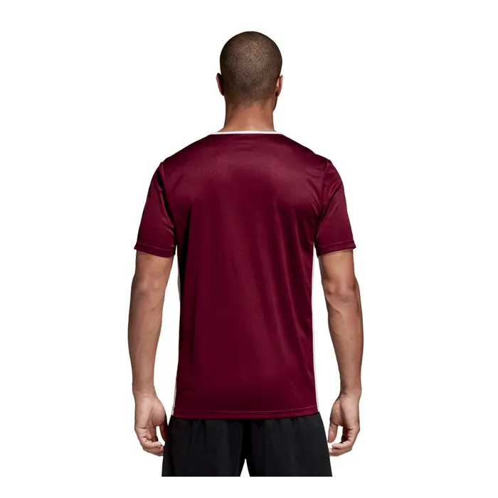 Adidas Entrada 18 Jersey
