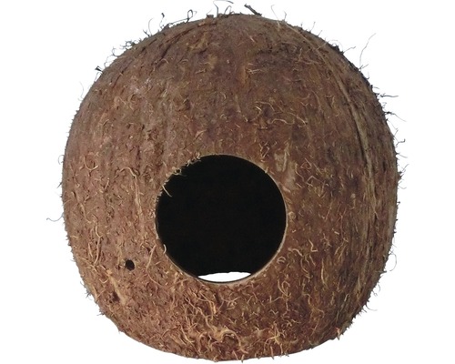 Kokosnoot grot maat 2, 10 x 10 cm