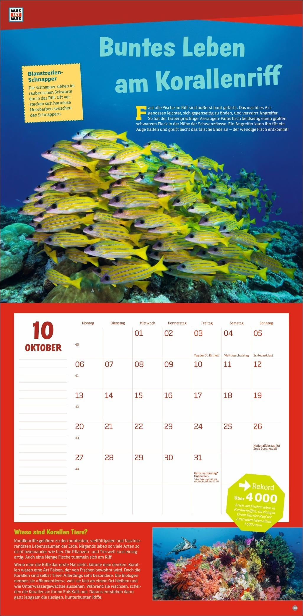 WAS IST WAS Tierwelt Broschurkalender 2025