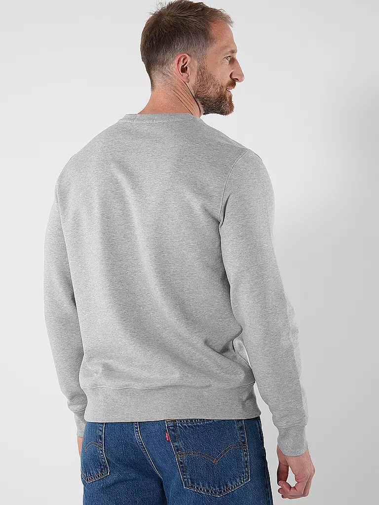 POLO RALPH LAUREN Sweater grau