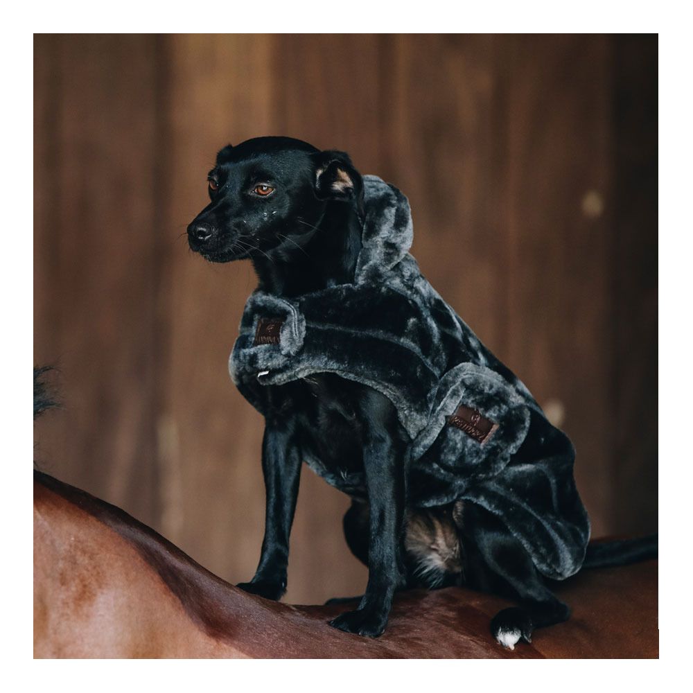 Kentucky FAKE FUR - Couverture pour chien grey