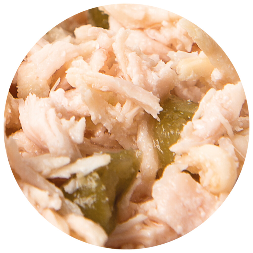 24x Renske Kattenvoer Vezel Tonijn - Zalm70 gr