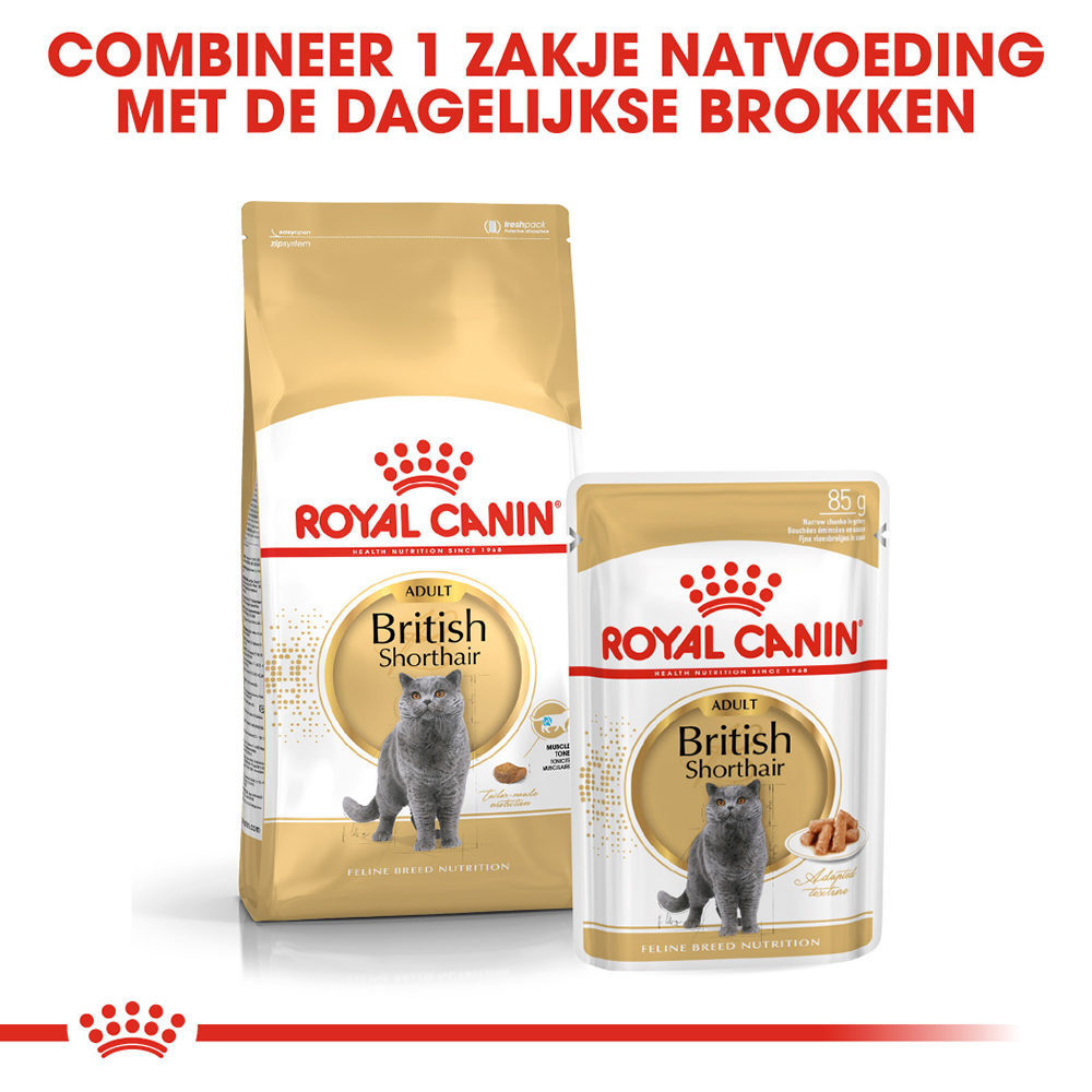 Royal Canin British Shorthair Adult Wet - Kattenvoer