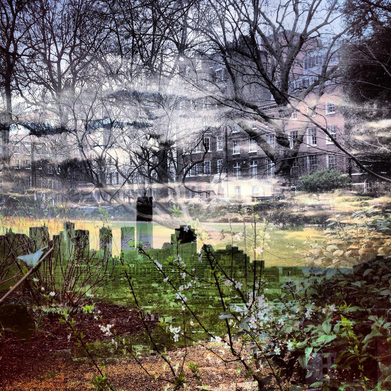 New York   London #70 by Daniella Zalcman - Limited Edition. Edition of: 150. Signed.
