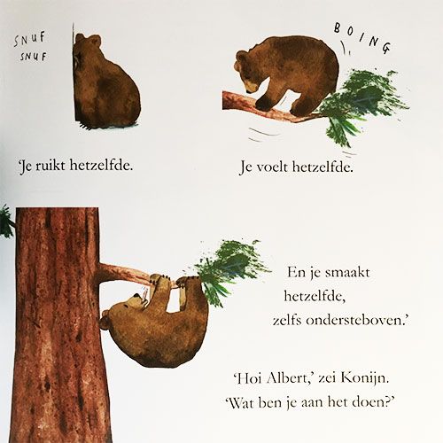 Uitgeverij lemniscaat alberts boom