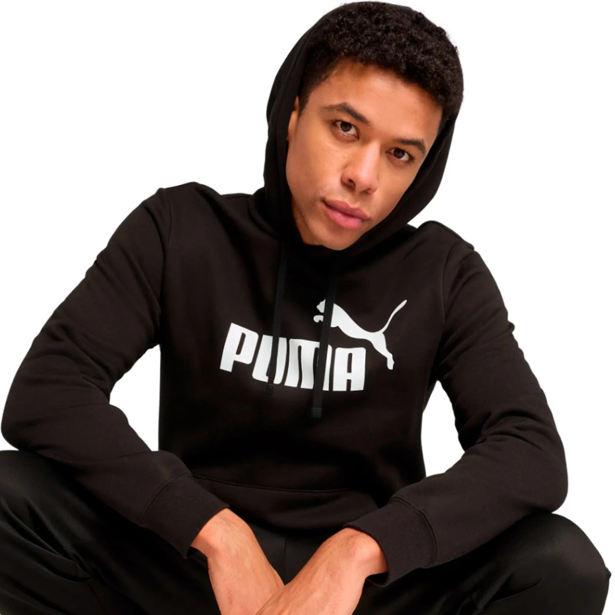 Sweatshirt Puma Essentials No. 1 Logo