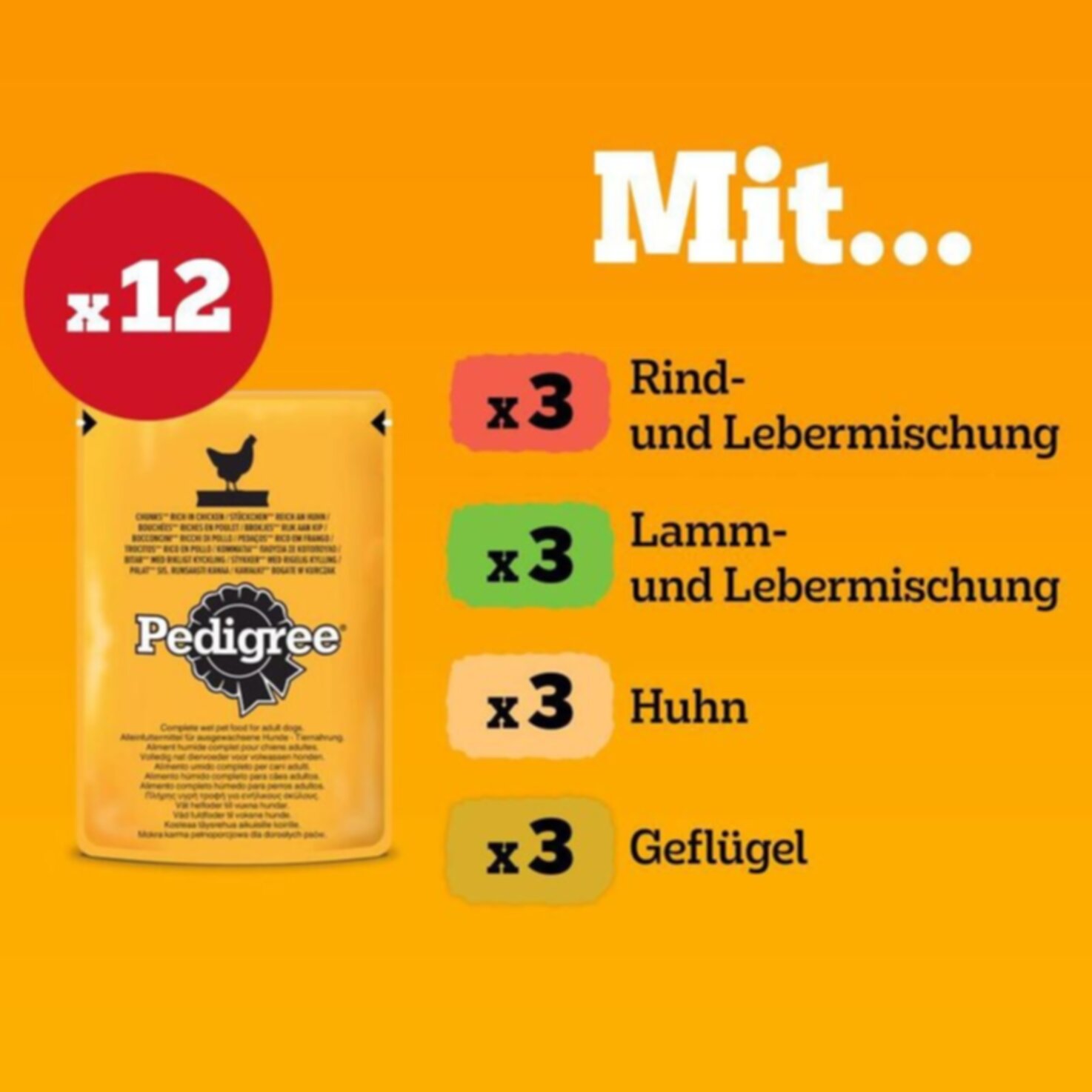 Pedigree Hundefutter in Gelee Senior Huhn & Rind 12x100g
