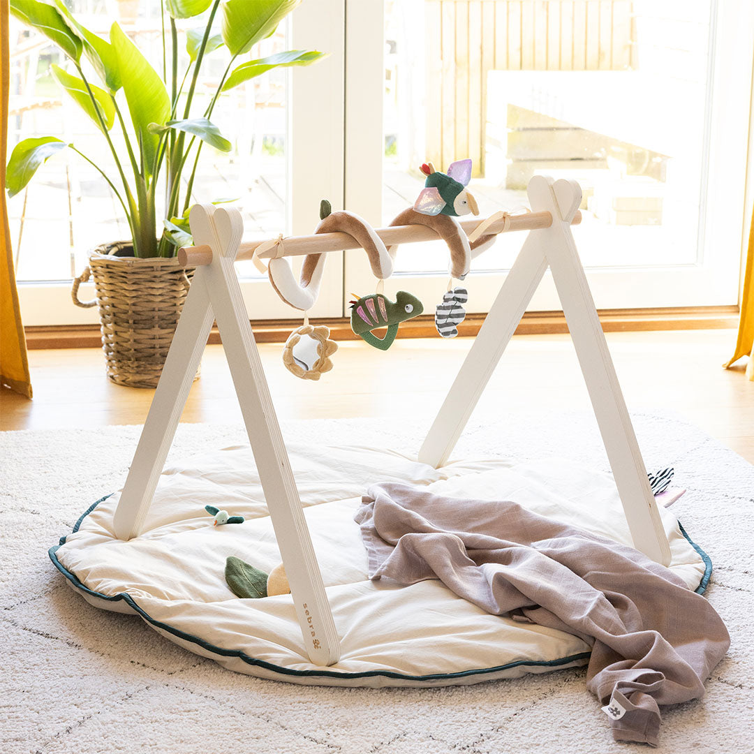 Sebra babygym