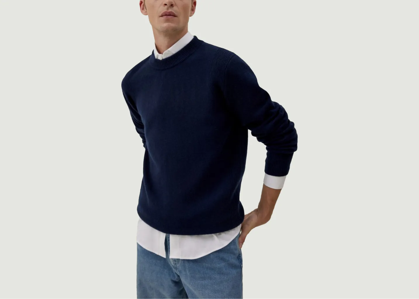 Pull cachemire Andrei Hircus