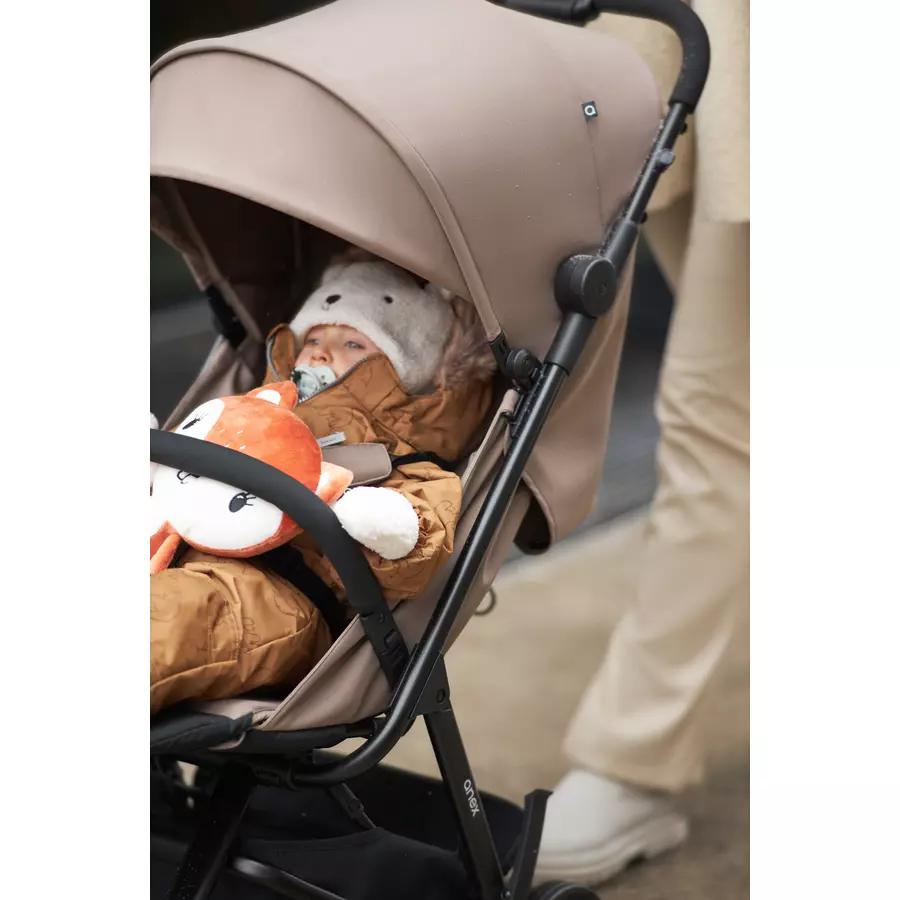 anex Buggy Air-Z Space