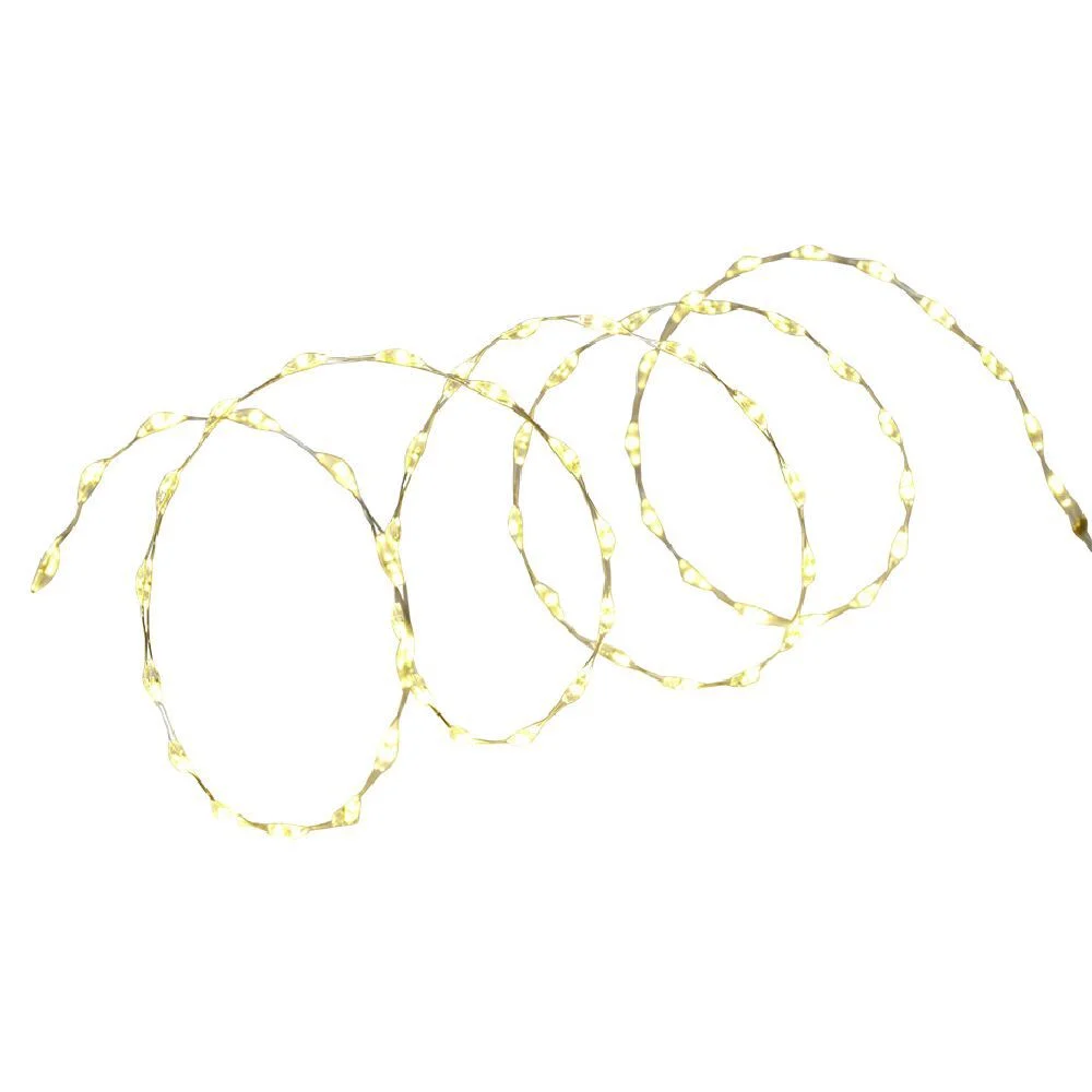 Fil lumineux 66 LED blanc chaud 1m