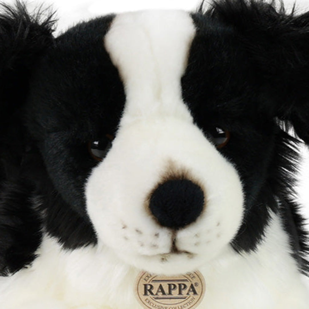 rappa knuffelhond border collie - 45 cm