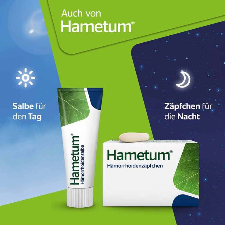 Hametum Reinigungsschaum, 100 ml