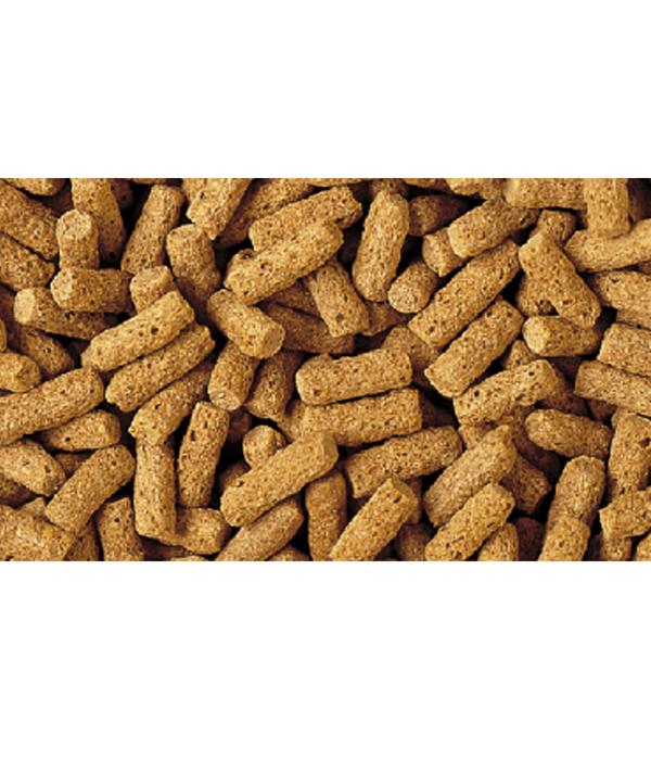 Tetra Pond Wheatgerm Sticks, Fischfutter