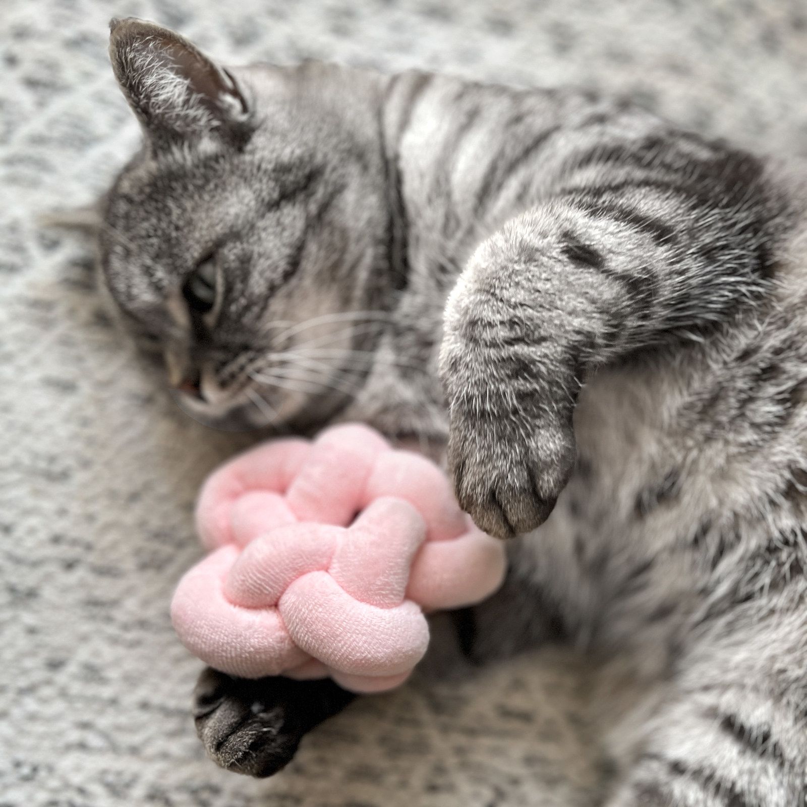 Aumüller Katzenspielzeug Knotenkissen Pastell - gefüllt mit Katzenminze