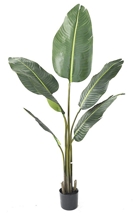 Travellers Palm tree artificiel h.135 cm