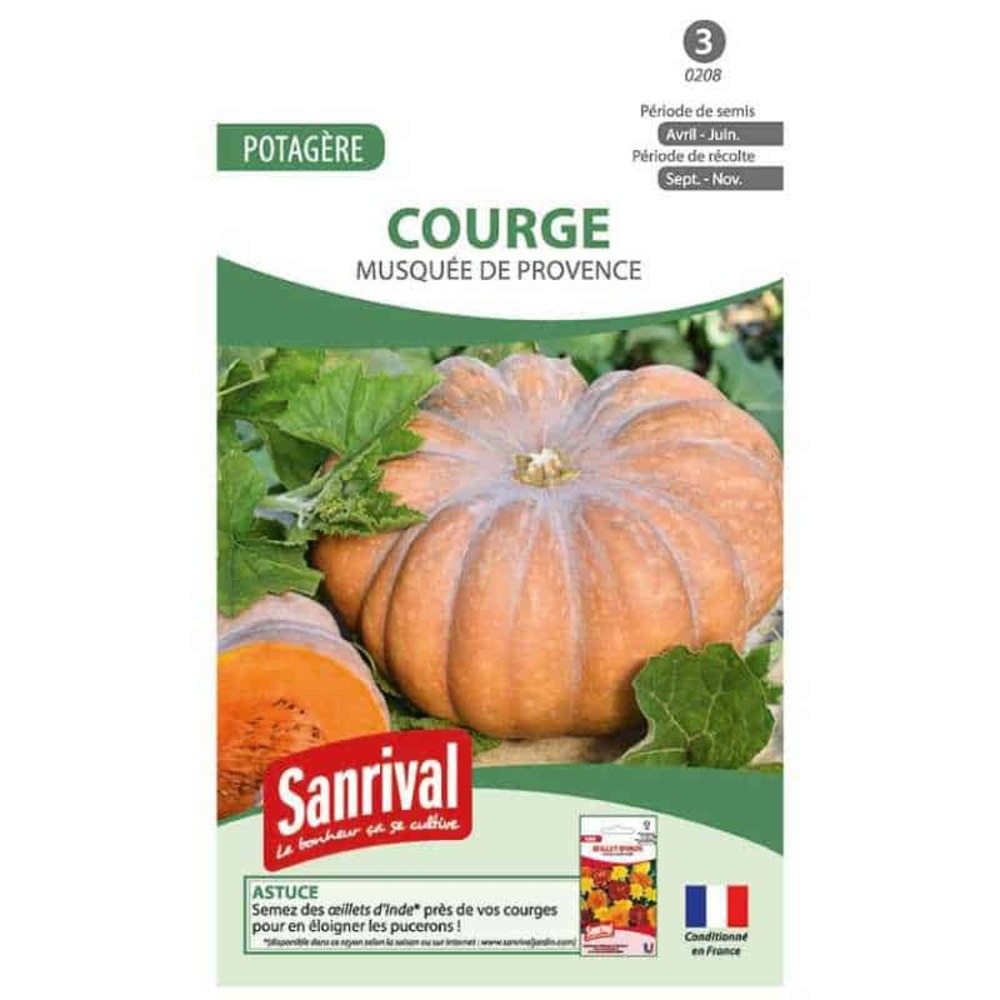 Graines courge musquée de provence