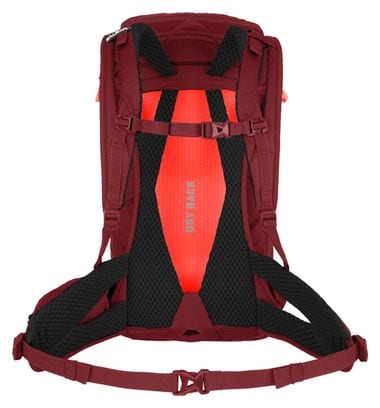 Sac de Randonnée Femme Salewa Alp Trainer 20L Bordeaux